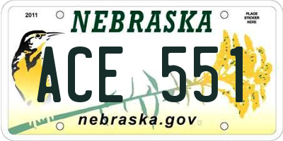 NE license plate ACE551