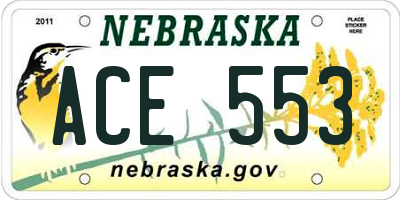 NE license plate ACE553