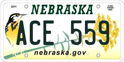 NE license plate ACE559