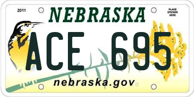 NE license plate ACE695