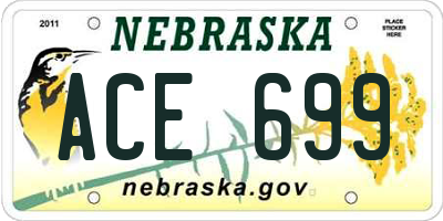 NE license plate ACE699