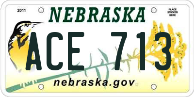 NE license plate ACE713