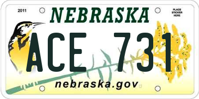 NE license plate ACE731