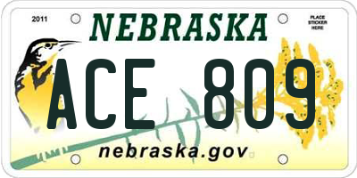 NE license plate ACE809