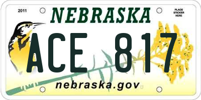 NE license plate ACE817