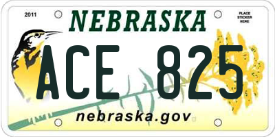 NE license plate ACE825