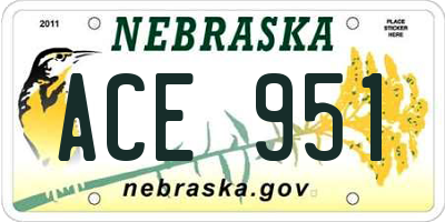 NE license plate ACE951