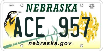 NE license plate ACE957