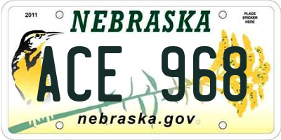 NE license plate ACE968