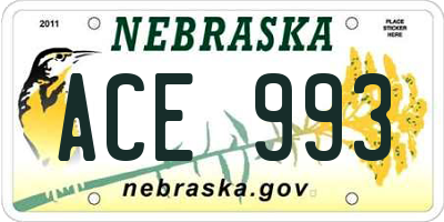 NE license plate ACE993