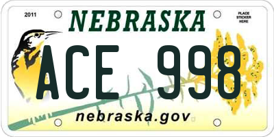 NE license plate ACE998