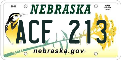 NE license plate ACF213