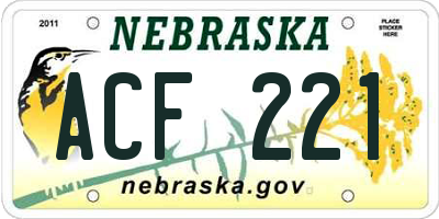 NE license plate ACF221