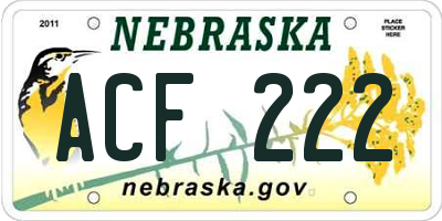 NE license plate ACF222