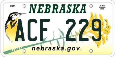 NE license plate ACF229