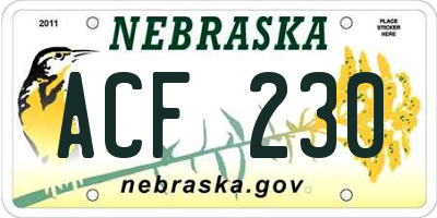 NE license plate ACF230
