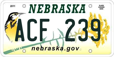 NE license plate ACF239