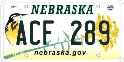 NE license plate ACF289