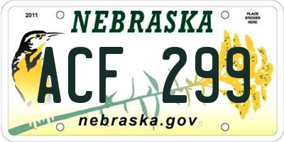 NE license plate ACF299