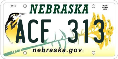 NE license plate ACF313