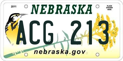 NE license plate ACG213