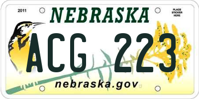 NE license plate ACG223