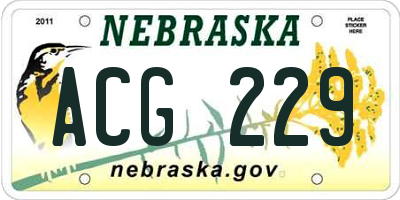 NE license plate ACG229