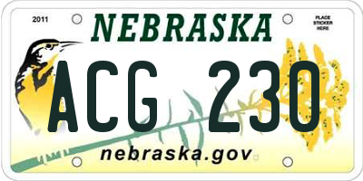 NE license plate ACG230