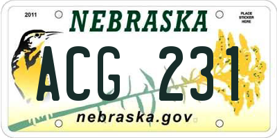 NE license plate ACG231