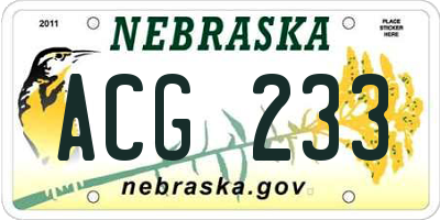 NE license plate ACG233