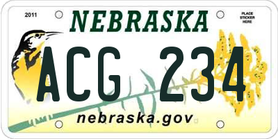 NE license plate ACG234