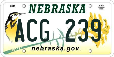 NE license plate ACG239