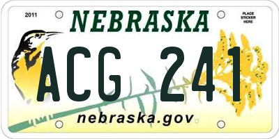 NE license plate ACG241