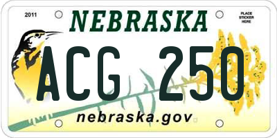 NE license plate ACG250