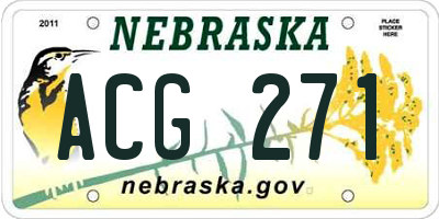 NE license plate ACG271