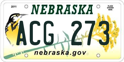 NE license plate ACG273