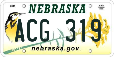 NE license plate ACG319