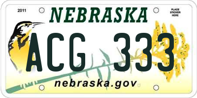 NE license plate ACG333