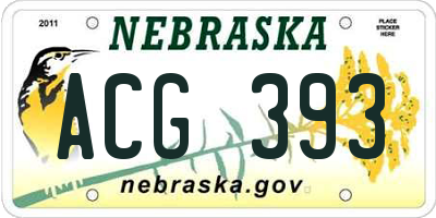 NE license plate ACG393