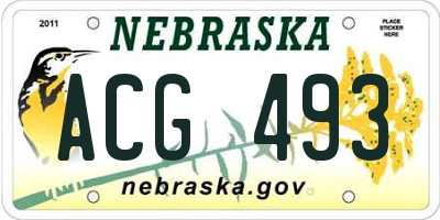 NE license plate ACG493