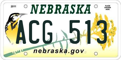 NE license plate ACG513
