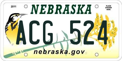 NE license plate ACG524