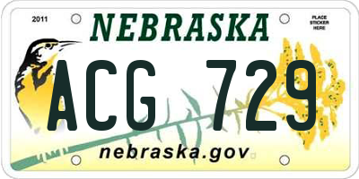 NE license plate ACG729