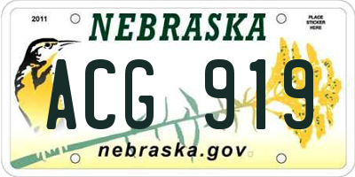 NE license plate ACG919