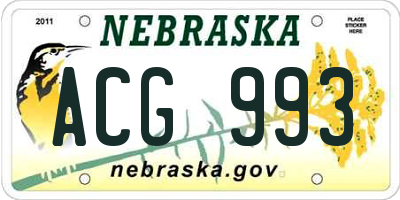 NE license plate ACG993