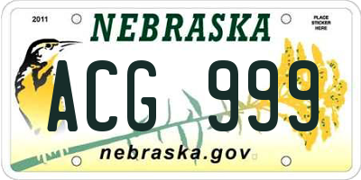 NE license plate ACG999