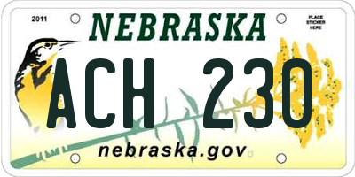 NE license plate ACH230