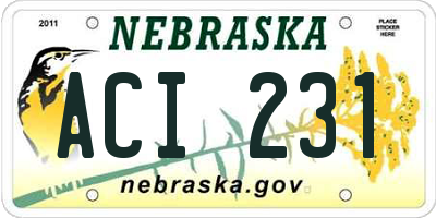 NE license plate ACI231