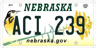 NE license plate ACI239