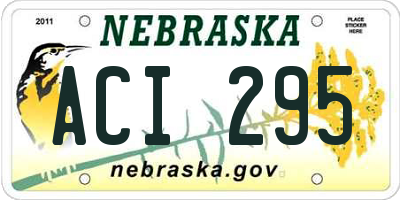 NE license plate ACI295